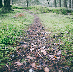 green_road
